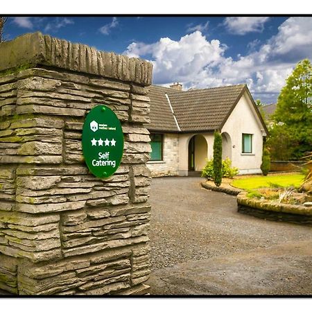 Burndavis Lodge 巴利米纳 外观 照片